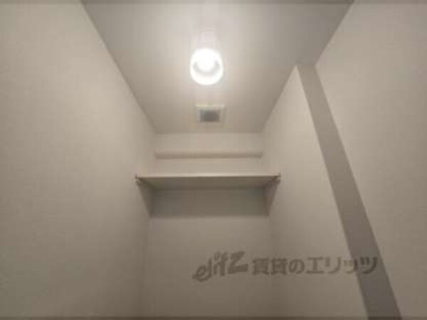 棚