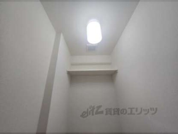 棚