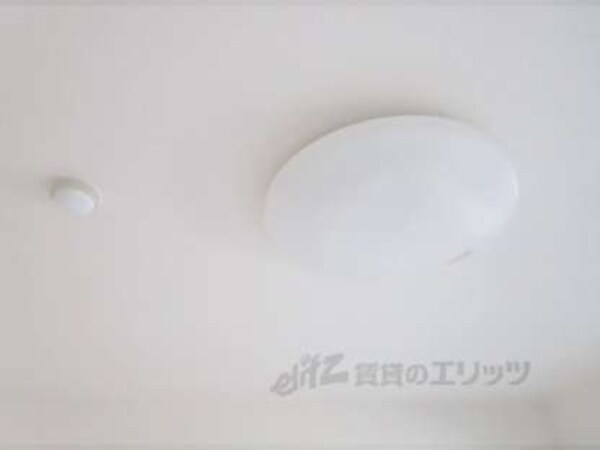 照明