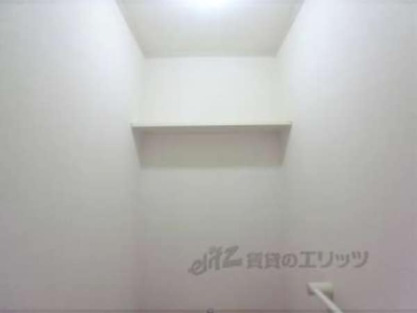 棚