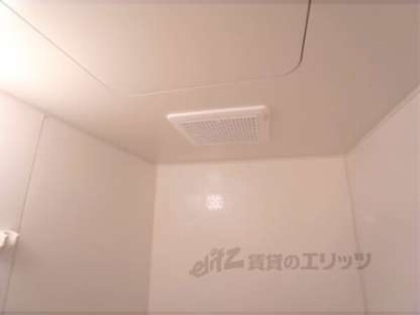 風呂(お風呂の天井です。)