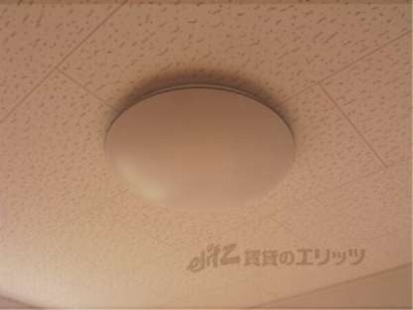 照明