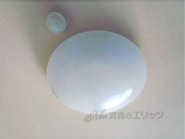 照明
