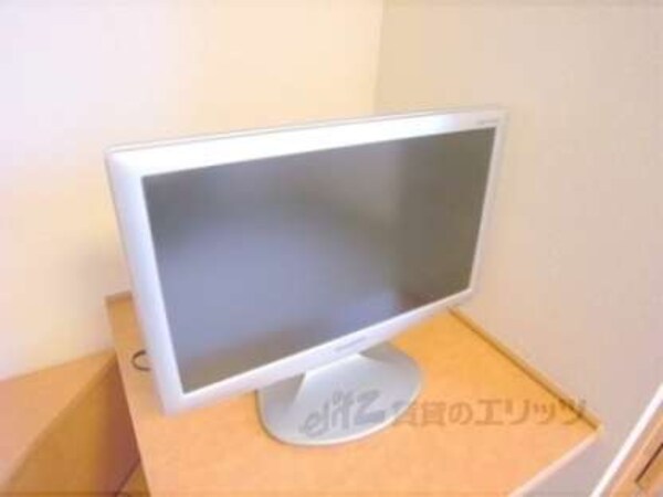 テレビ