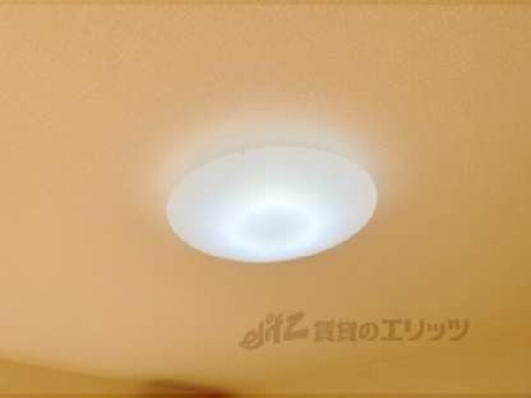 照明