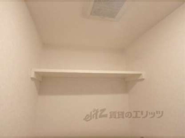 棚