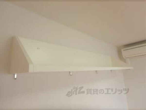 棚