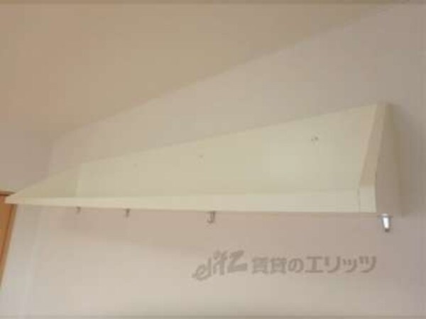 棚