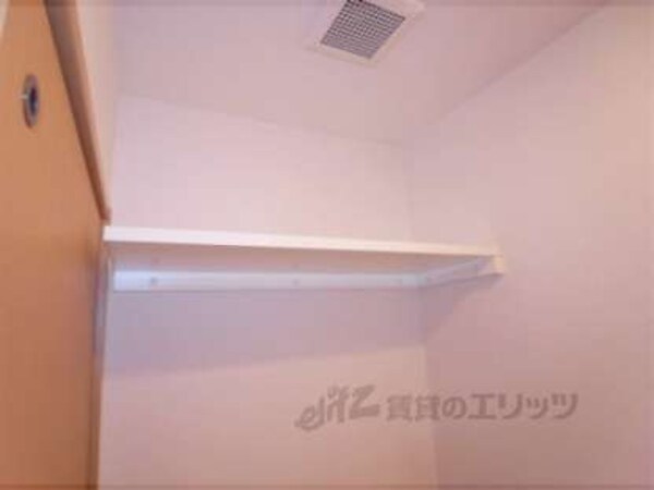 棚