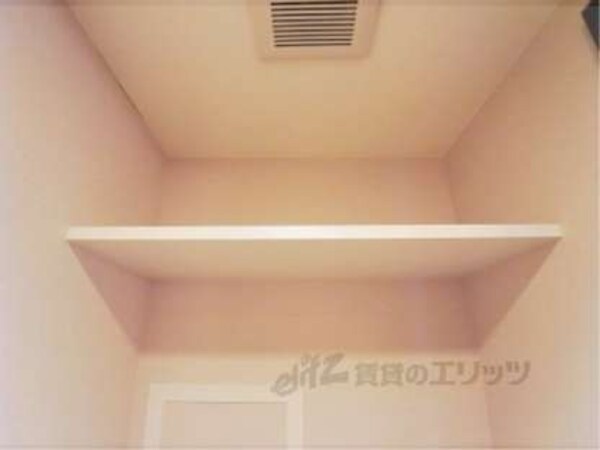 棚