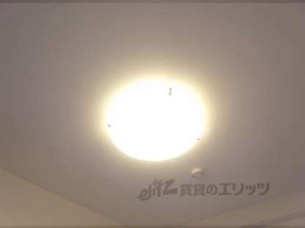 照明