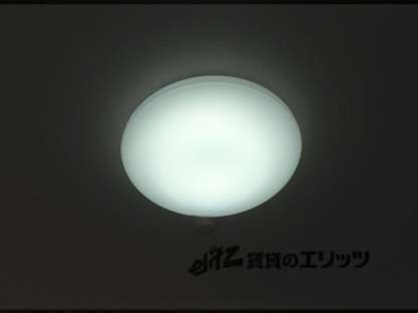 照明(残置物の可能性があります)
