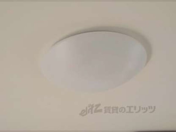 照明