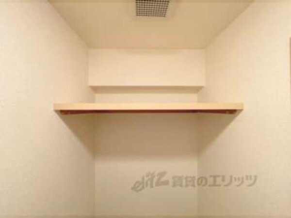 棚