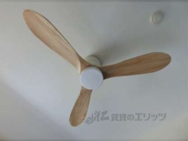 電気