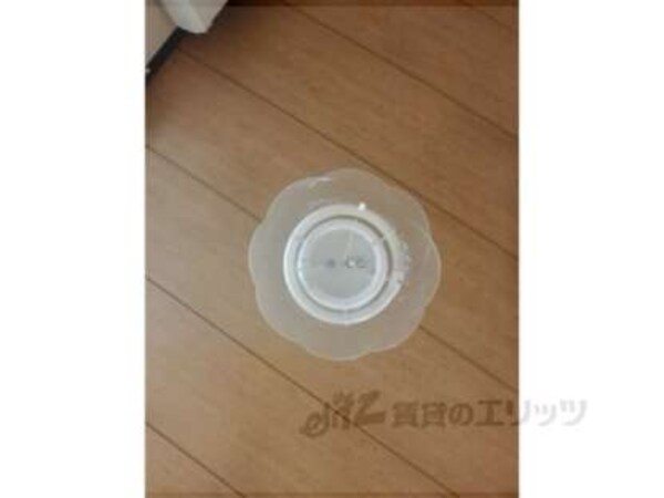 照明
