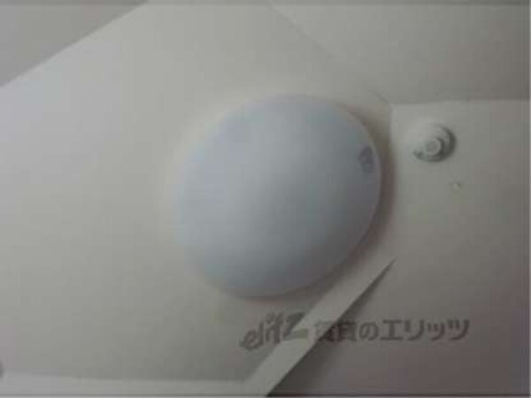 照明