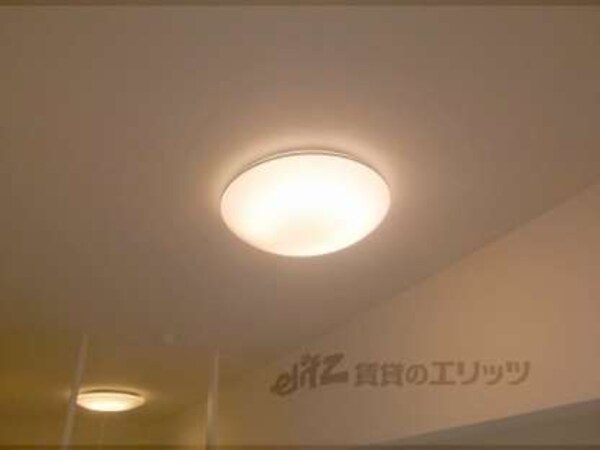照明