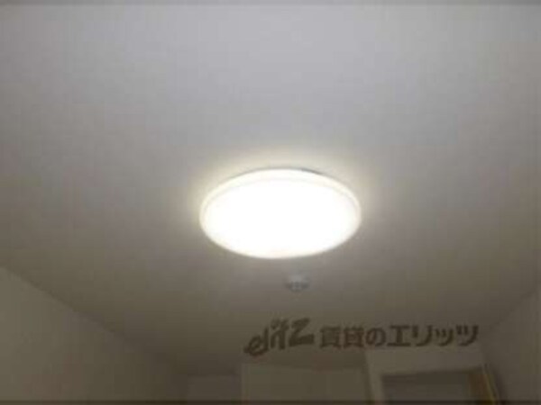 照明