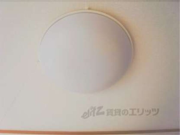 照明
