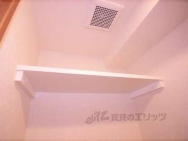 棚