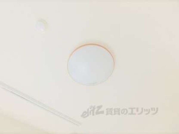 照明