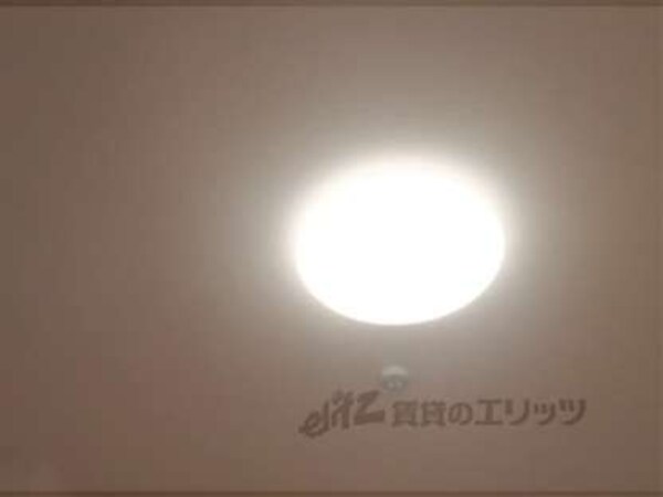 照明