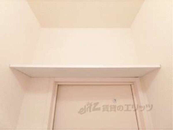 棚