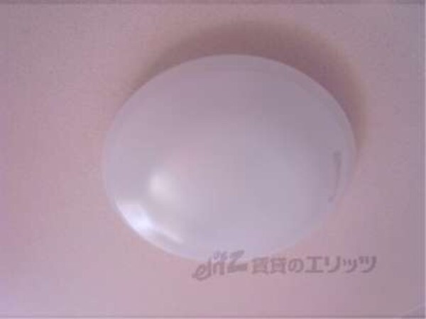照明