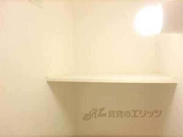 棚