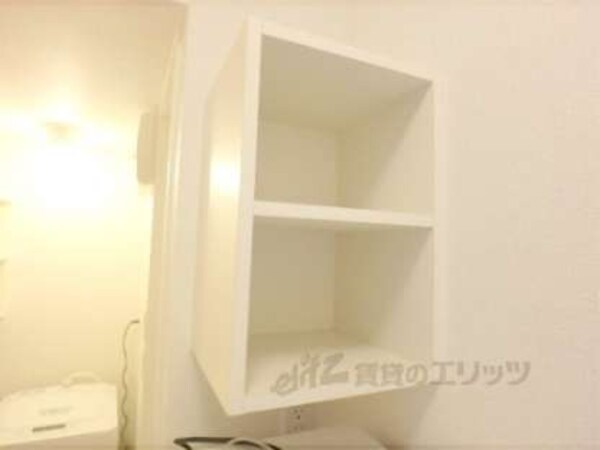 棚
