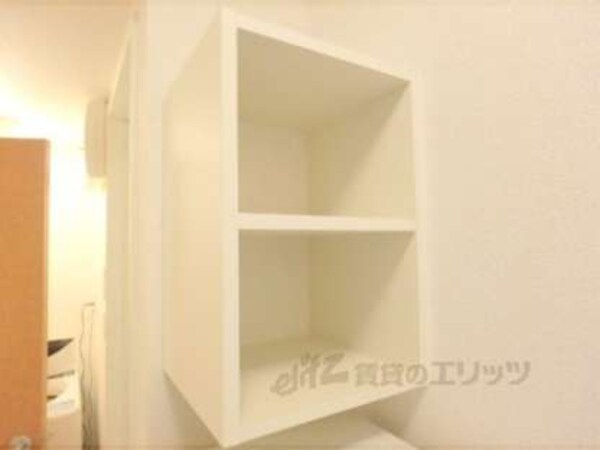 棚