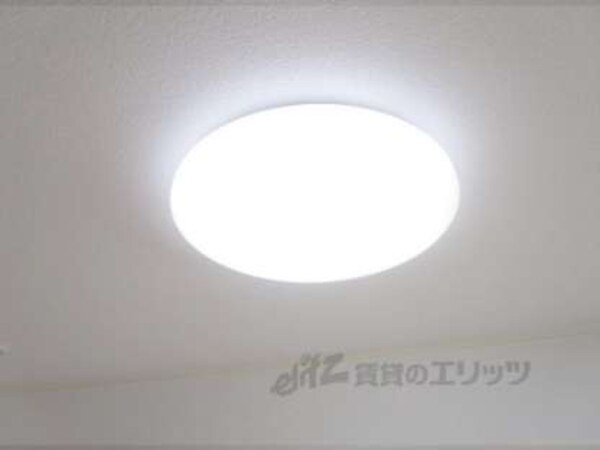 照明
