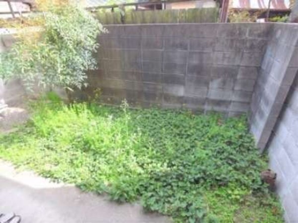 庭