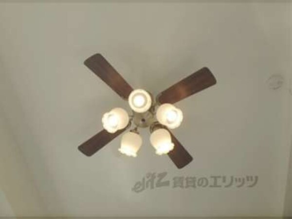 照明