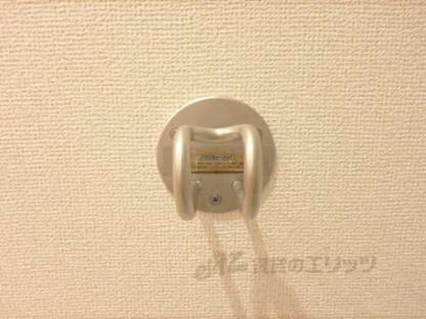 バラエティーフック