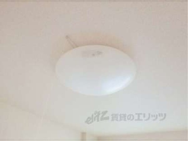 電気
