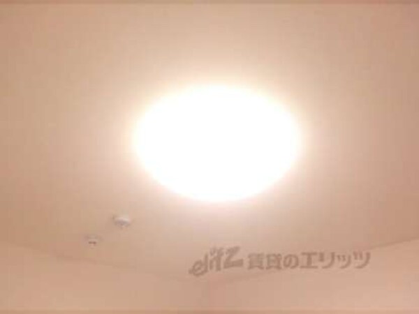 照明