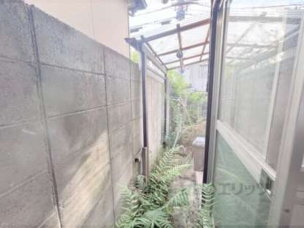 庭