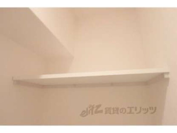 棚
