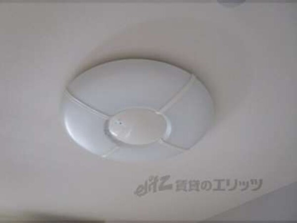 照明