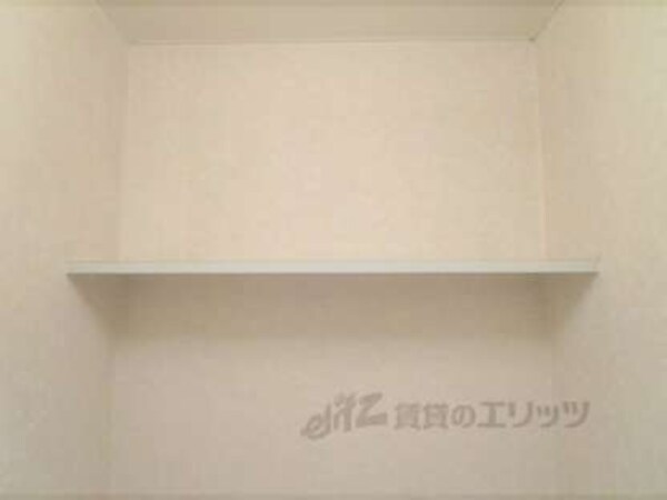 棚