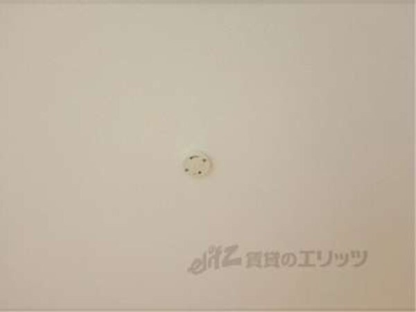 照明