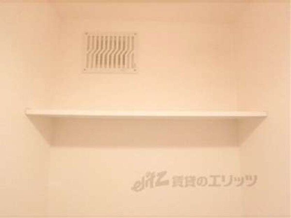 棚