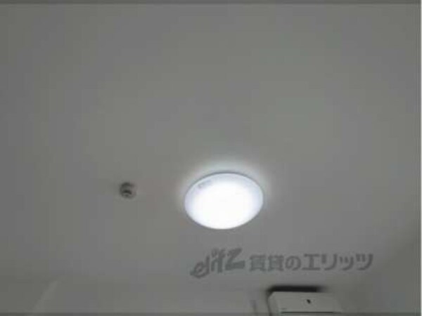 照明