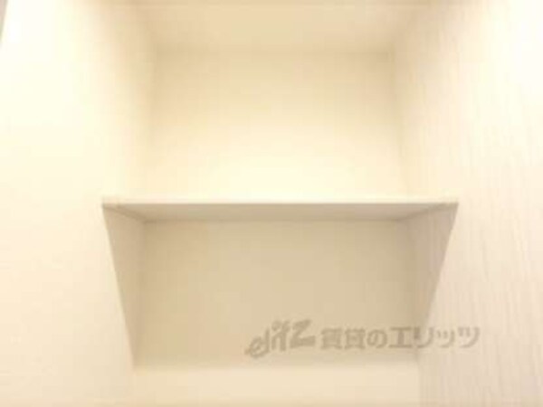 棚