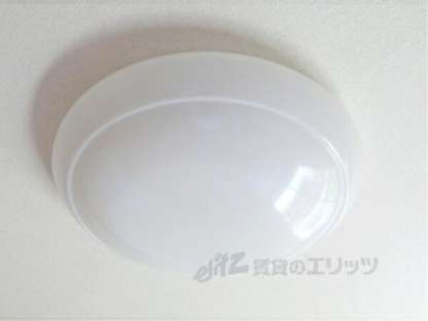 照明