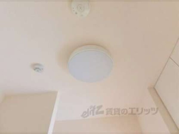 照明