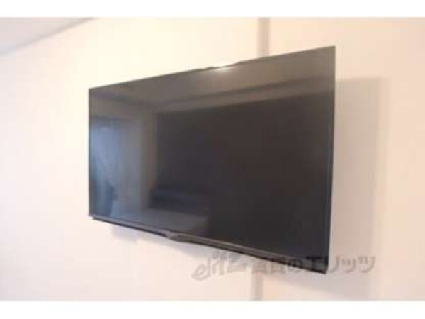 テレビ