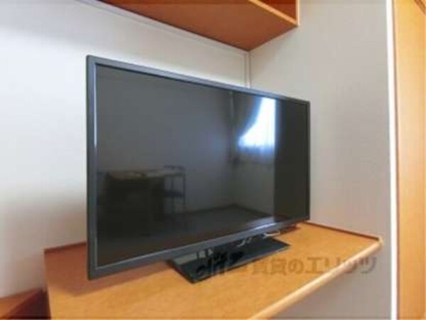 テレビ